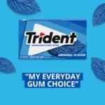 TRIDENT Bubble Gum Original 168 PIECES