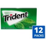 TRIDENT Bubble Gum SPEARMINT 168 PIECES