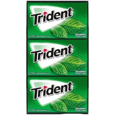 TRIDENT Bubble Gum SPEARMINT 168 PIECES