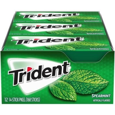 TRIDENT Bubble Gum SPEARMINT 168 PIECES