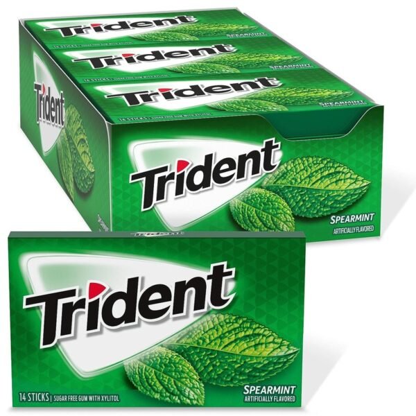 TRIDENT Bubble Gum SPEARMINT 168 PIECES