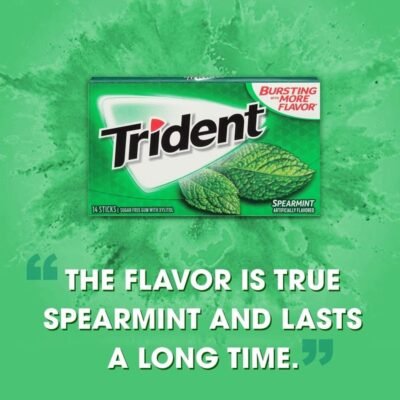 TRIDENT Bubble Gum SPEARMINT 168 PIECES