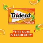 TRIDENT Bubble Gum Tropical twist 168 PIECES