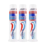 AquaFresh Triple Protection Fresh Mint Tooth Paste Pump 100ML Pack Of 3